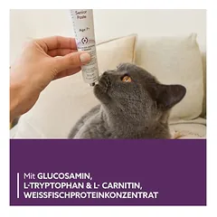 GimCat Senior Paste