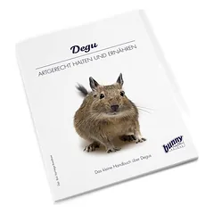 Bunny Nature bunnyBooks Degu