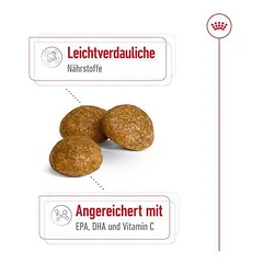 Royal Canin X-Small Adult sausas maistas šunims, 3 - 4,9 kg — 4 nuotrauka