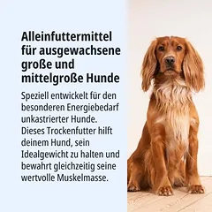 Virbac Veterinary HPM Adult Dog Large & Medium, sausas maistas šunims — 4 nuotrauka