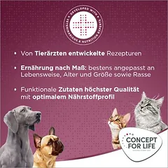 Concept for Life All Cats padaže, drėgnas maistas katėms — 3 nuotrauka