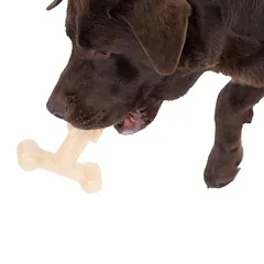 TIAKI T formos kramtomasis žaislas Peanut Butter šunims, Dideliems 26–45 kg — 2 nuotrauka