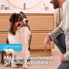 beaphar dantų gelis šunims, 100 g — 5 nuotrauka