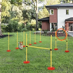 Agility rinkinys geltonas — 2 nuotrauka