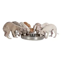 TRIXIE Junior Puppy dubenėlis, 4 l/38 cm — 2 nuotrauka