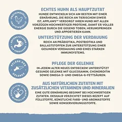 Applaws All Breed Senior su višta, sausas maistas šunims, 3 - 4,9 kg — 4 nuotrauka