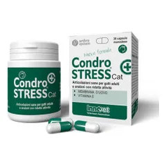 Innovet Condrostress+ Cat pašaro papildas katėms