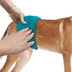 Simple Solution waschbare Rüdenbinde, Klein 5-10 kg — 2 nuotrauka