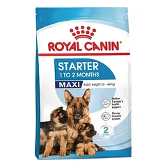 Royal Canin Maxi Starter 15 kg parduotuvėje petbaze.lt