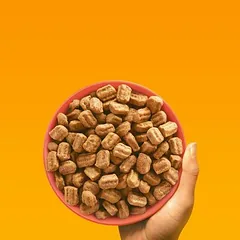Pedigree Professional Nutrition Adult su jautiena ir daržovėmis, sausas maistas šunims — 4 nuotrauka