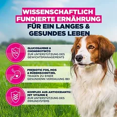 Eukanuba Premium Nutrition Senior Small & Medium Breed su ėriena ir ryžiais, > 10 kg — 5 nuotrauka