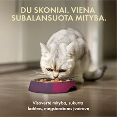 Visų veislių suaugusių sterilizuotų kačių šlapių pašarų rinkinys, 4x85 g — 2 nuotrauka