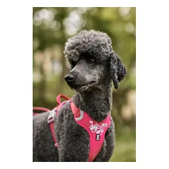 Hurtta Weekend Warrior Harness - petnešos aktyviems šunims - 60 - 80, Ruby / 60-80 — 2 nuotrauka