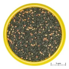 ProNovo Guppy Grano S pašaras gupijoms 250 ml — 2 nuotrauka