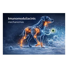 Flexadin Advanced Muscle support šunims, N30 — 3 nuotrauka