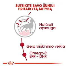 ROYAL CANIN Medium Adult sausas pašaras šunims, 15 kg — 2 nuotrauka