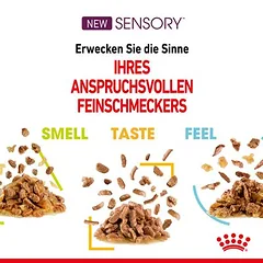 Royal Canin Sensory Taste drebutyje, drėgnas maistas katėms — 5 nuotrauka