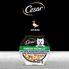 Cesar Fresh Bowls drėgnas maistas šunims — 5 nuotrauka