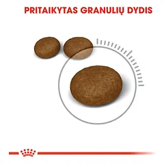 ROYAL CANIN FCN Hair&skin care sausas maistas katėms, sveikam kailiui ir odai 2 kg — 3 nuotrauka