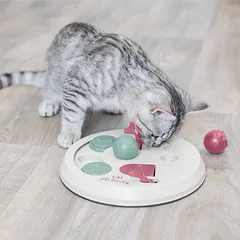Trixie Cat Activity Flip Board žaislas katėms, 1 vnt. — 5 nuotrauka
