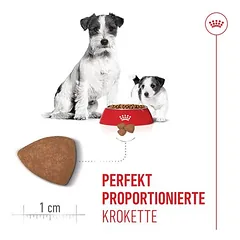 Royal Canin Mini Starter Mother & Babydog sausas maistas šunims, 5 - 9,9 kg — 5 nuotrauka