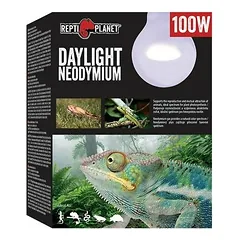 Repti Planet Daylight Neodymium Bulb 100 W