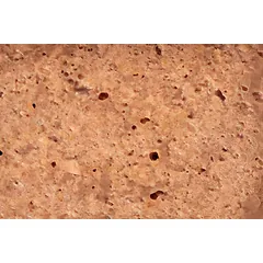 SPECIFIC FCW konservai katėms struvitinių akmenų profilaktikai 7 x 100 g — 2 nuotrauka