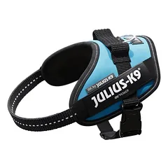 JULIUS-K9 IDC®-Powergeschirr, aquamarin