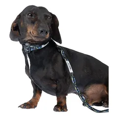 WARNER BROS antkaklis DC Batman, juodas, Mažiems 5–10 kg — 3 nuotrauka