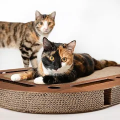 Canadian Cat Company žaislas katėms PlayPlate XL, riešutmedžio spalvos, Dideliems > 5 kg — 3 nuotrauka
