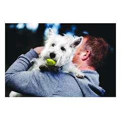 KONG Airdog Squeaker Tennis Ball M teniso kamuoliukas šunims su cypiančiu garsu, neabrazyvinis, 1 vnt. — 3 nuotrauka