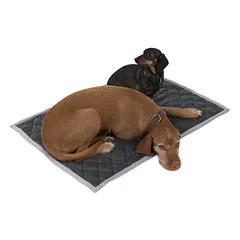 zooplus Exclusive pledas katėms Velvet granit, Vidutiniams 11–25 kg — 2 nuotrauka