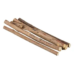 TRIXIE Matatabi kramtomosios lazdelės 10 g