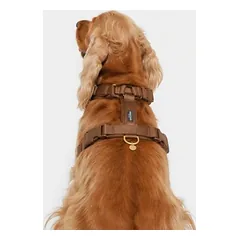 Nomad Tales Blush Limited Edition petnešos šunims, mocha, Dideliems 26–45 kg — 4 nuotrauka