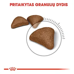 ROYAL CANIN FCN Hairball care sausas maistas nuo plaukų sąvėlų susidarymo 2 kg — 3 nuotrauka