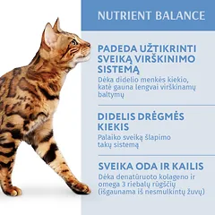 OPTIMEAL ™ konservuotas pašaras suaugusioms katėms su menke ir daržovėmis drebučiuose 12x0.085 kg — 2 nuotrauka