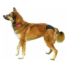 TRIXIE apsauginės kelnaitės kalėms – XS (liemuo 20–25 cm) (2 vnt.) — 5 nuotrauka
