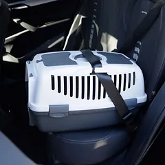 Kerbl Transportavimo dėžė Gulliver, B 40 x T 61 x H 38 cm — 4 nuotrauka