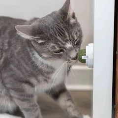 Trixie žaislas katėms katžolės kamuoliukas su laikikliu tvirtinimui