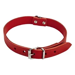 Beeztees Hundehalsband Leder rot