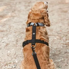 Nomad Tales Spirit petnešos šunims Multi Ring, Dideliems 26–45 kg — 2 nuotrauka