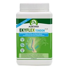Audevard Ekyflex Tendon Evo