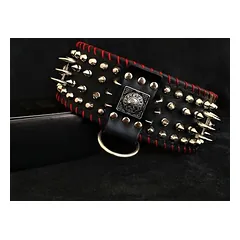 Bestia Hundehalsband David