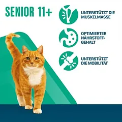 Perfect Fit Senior 11+ su vištiena, sausas maistas katėms, 1,5 - 2,9 kg — 2 nuotrauka