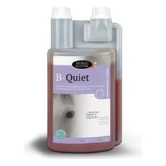 FARNAM - B QUIET - FARNAM