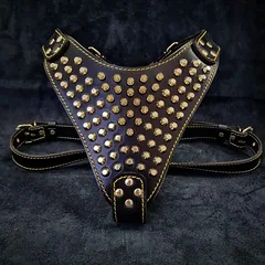 Bestia Hundegeschirr Gladiator