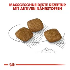 Royal Canin Relax Care Mini sausas maistas šunims — 5 nuotrauka