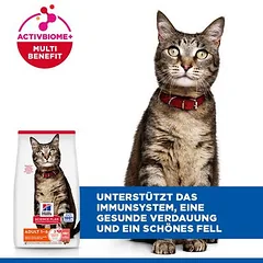 Hill's Science Plan Adult 1-6 su lašiša, sausas maistas katėms, 3 - 4,9 kg — 4 nuotrauka