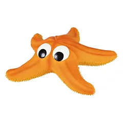 Trixie Starfish Patrick with sound vinilinis žaislas šunims, 23 cm
