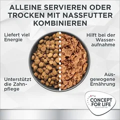 Concept for Life Veterinary Diet Renal sausas maistas šunims — 5 nuotrauka